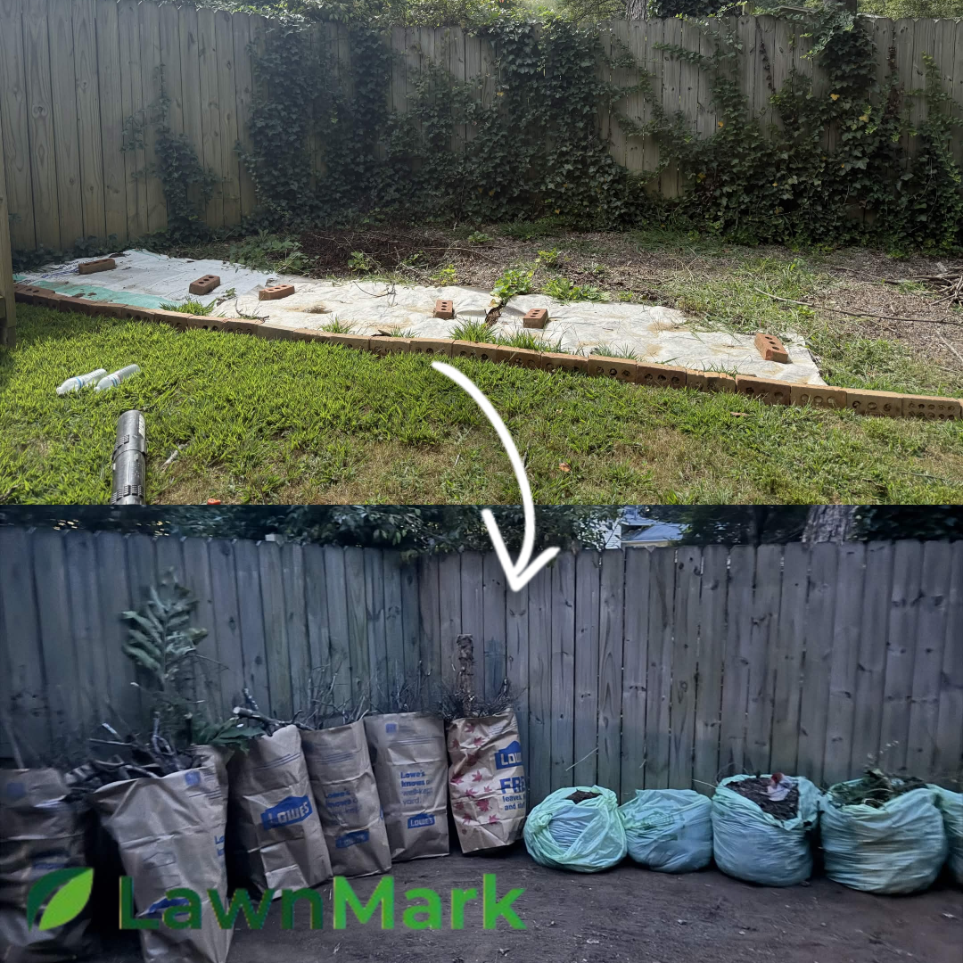 Before and after backyard cleanup by Lawnmark in Fairfax