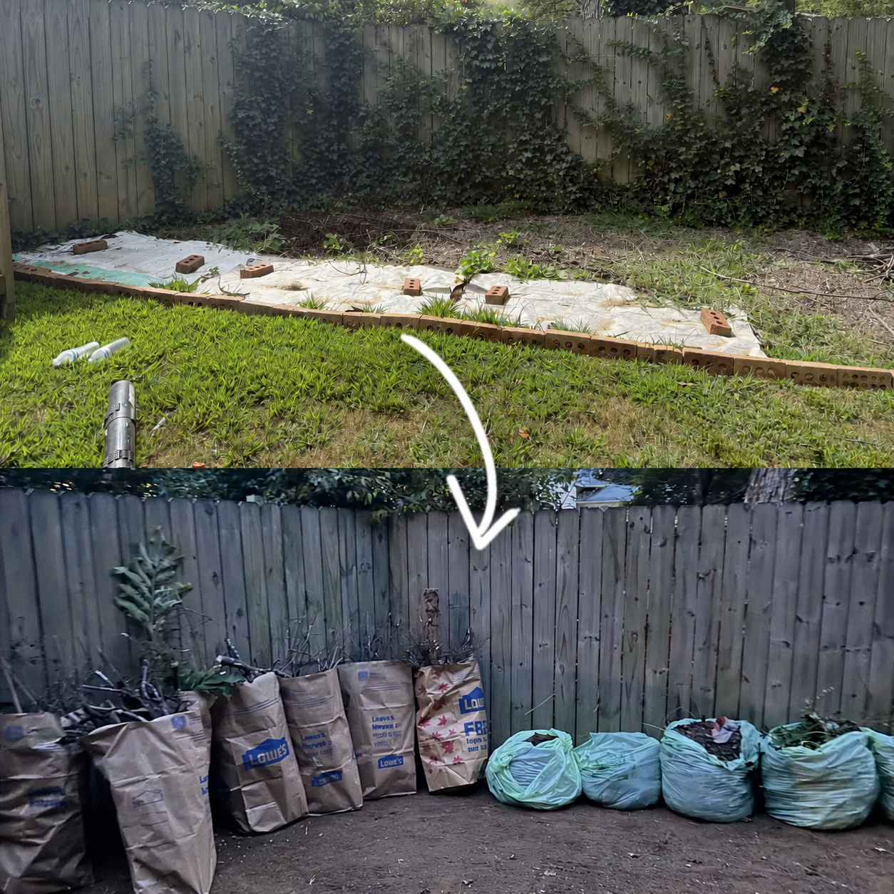 Before and after yard cleanup by Lawnmark in Fairfax