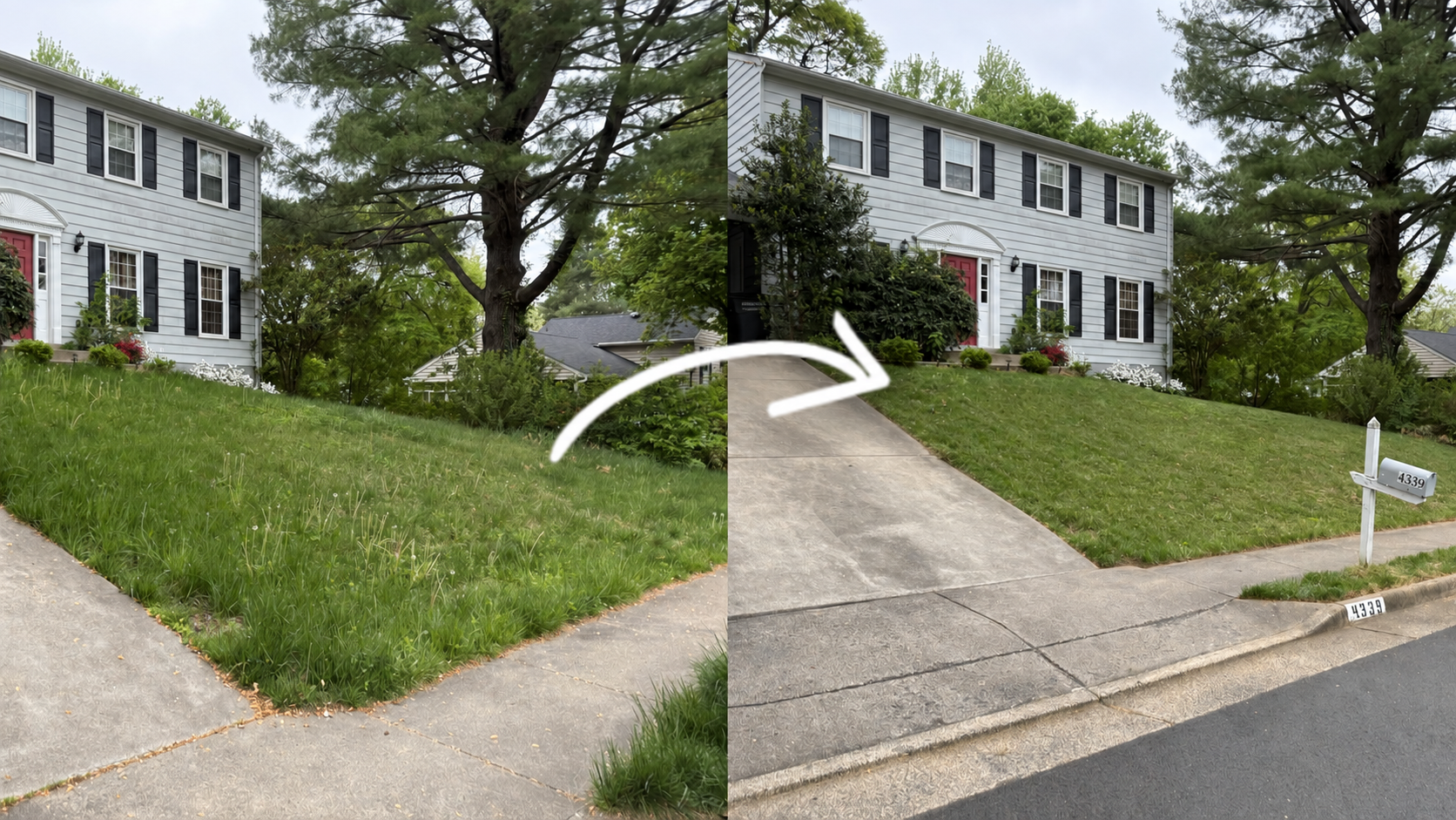 Before and after lawn transformation by Lawnmark in Fairfax